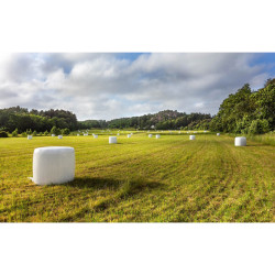 Hösilage miniballar (ca 20 kg)
